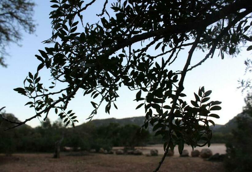 חדר סטנדרט, Su Campanile