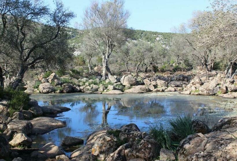 חדר סטנדרט, Su Campanile