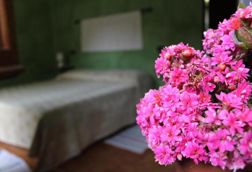 חדר סטנדרט, Su Campanile