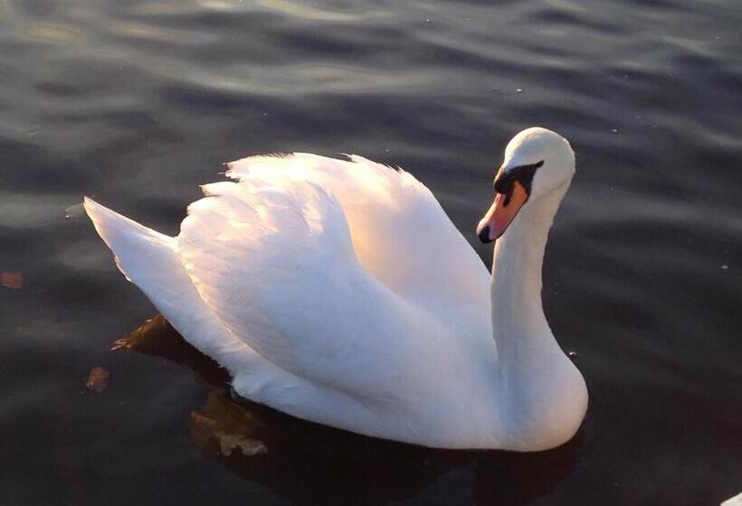 舒适三人间, Glengarth House Room Only Accommodation