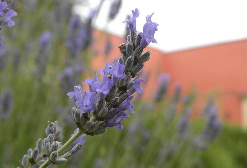 سوییت خانوادگی, Il Casale Dei Principi