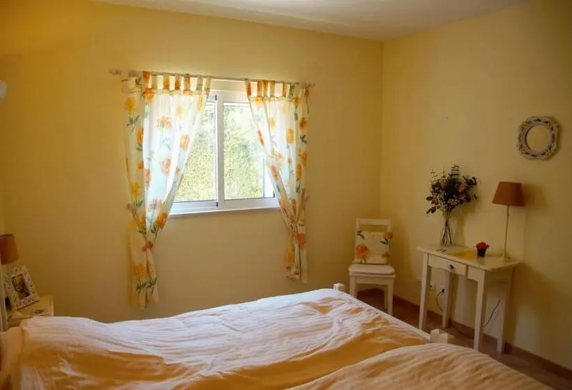 اتاق لوکس, Vila Florina