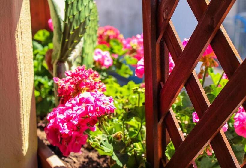 إستوديو قياسى, Cesarotti B&b