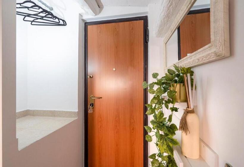 إستوديو قياسى, Cesarotti B&b