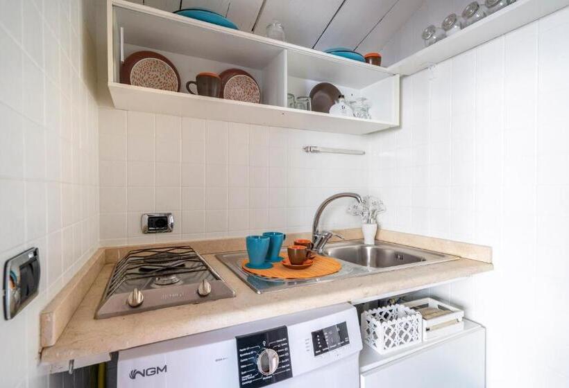 Студия Стандарт, Cesarotti B&b