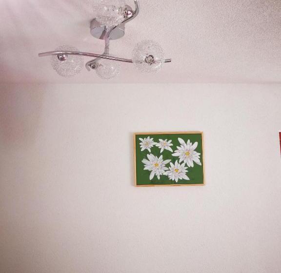 استودیو استاندارد با بالکن, Ekoturizem Viženčar