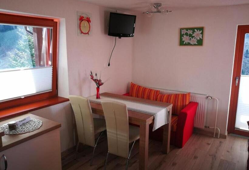 استودیو استاندارد با بالکن, Ekoturizem Viženčar