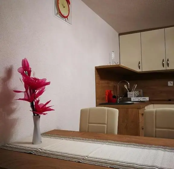 استودیوی استاندارد, Ekoturizem Viženčar