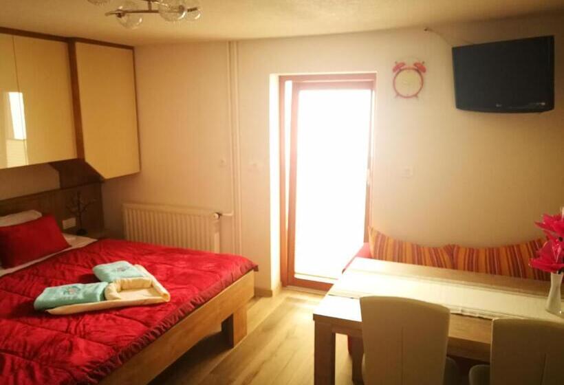 استودیوی استاندارد, Ekoturizem Viženčar