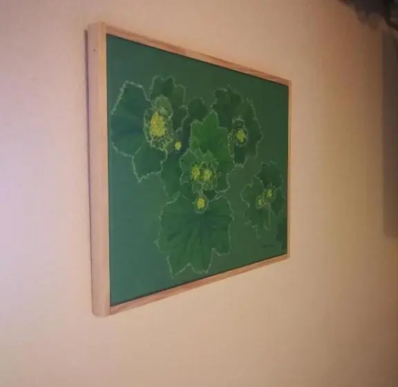 استودیو خانوادگی, Ekoturizem Viženčar