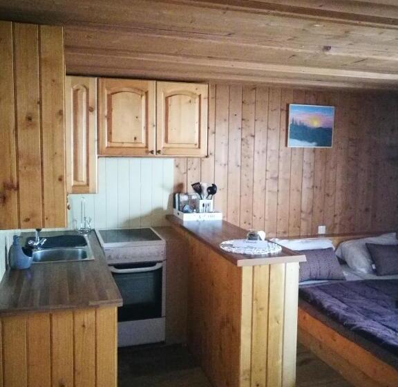 استودیو خانوادگی, Ekoturizem Viženčar