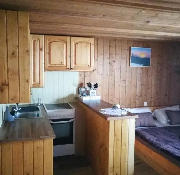 استودیو خانوادگی, Ekoturizem Viženčar