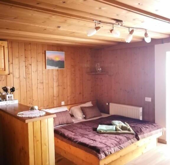 استودیو خانوادگی, Ekoturizem Viženčar