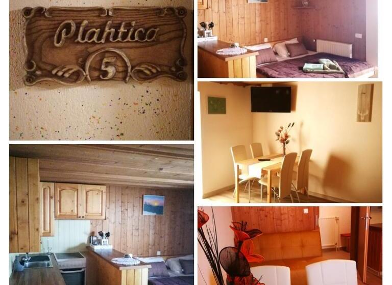 استودیو خانوادگی, Ekoturizem Viženčar