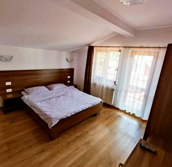 标准间带山景, Pensiunea Anca