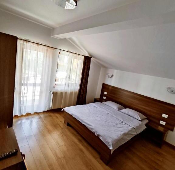 标准间带山景, Pensiunea Anca