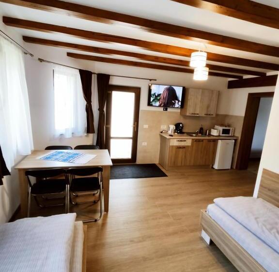 低层单卧公寓, Pensiunea Anca