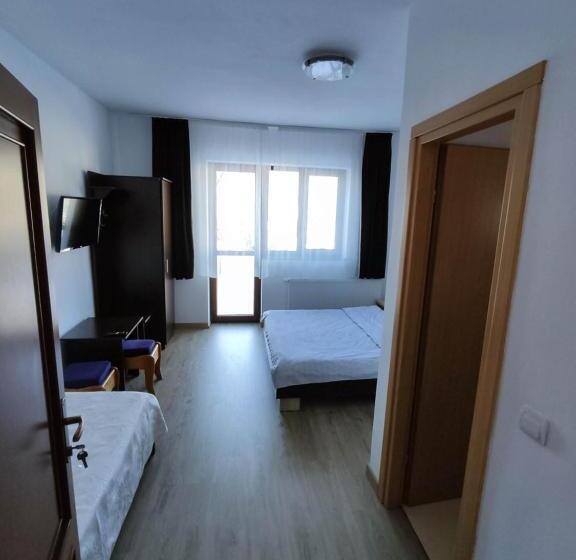 带阳台的三人标准间, Pensiunea Anca