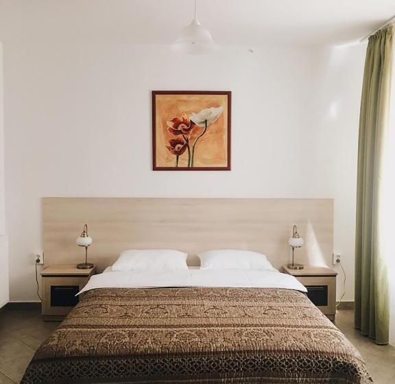 חדר סופריור עם מיטת קינג, Pensiunea Encian