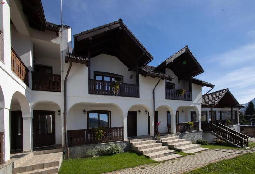 חדר סופריור עם מיטת קינג, Pensiunea Encian