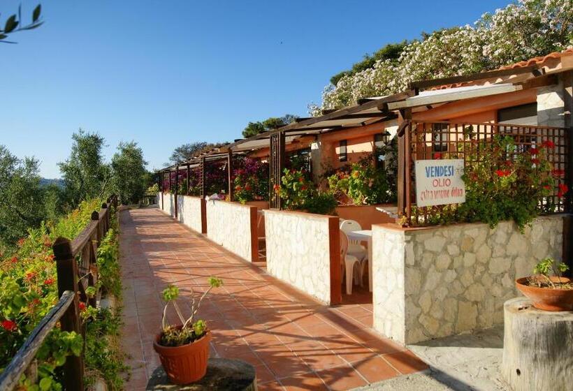 Studio Rodzinne, Residence Regine Club