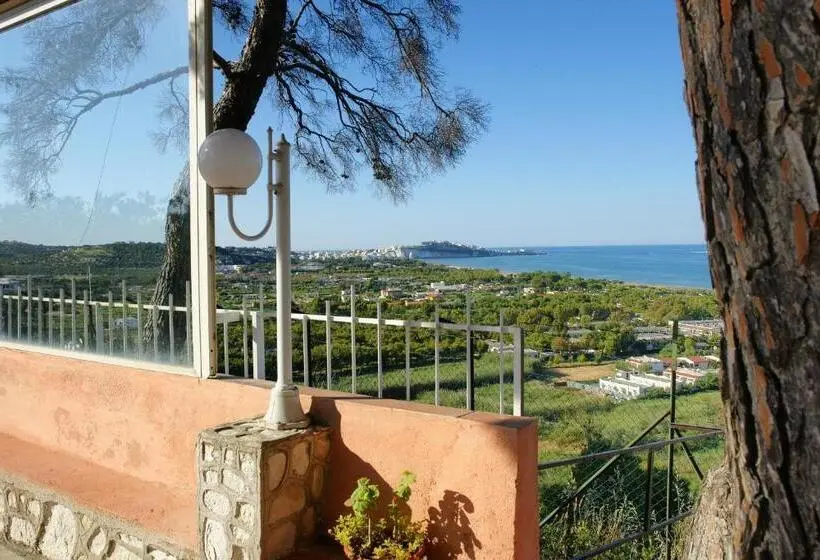 استودیو خانوادگی, Residence Regine Club