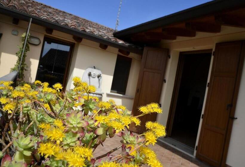 חדר סטנדרט עם טרסה, 9 Muse Bed And Breakfast