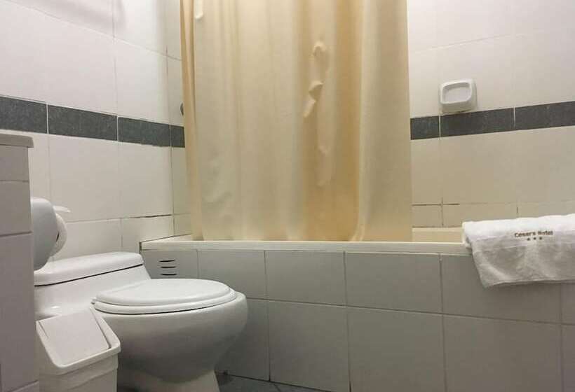 Номер Стандарт Индивидуальный, Cesar S Hotel La Merced