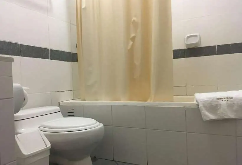 اتاق استاندارد یک نفره, Cesar S Hotel La Merced
