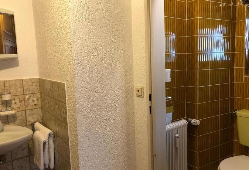 חדר יחיד עם טרסה, Gästehaus Am Kurparkweg