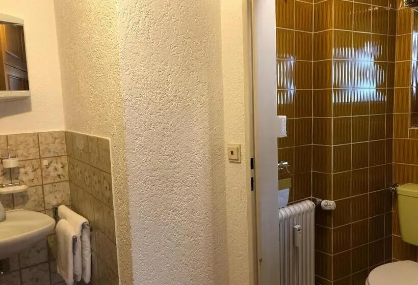 テラス付きシングルルーム, Gästehaus Am Kurparkweg