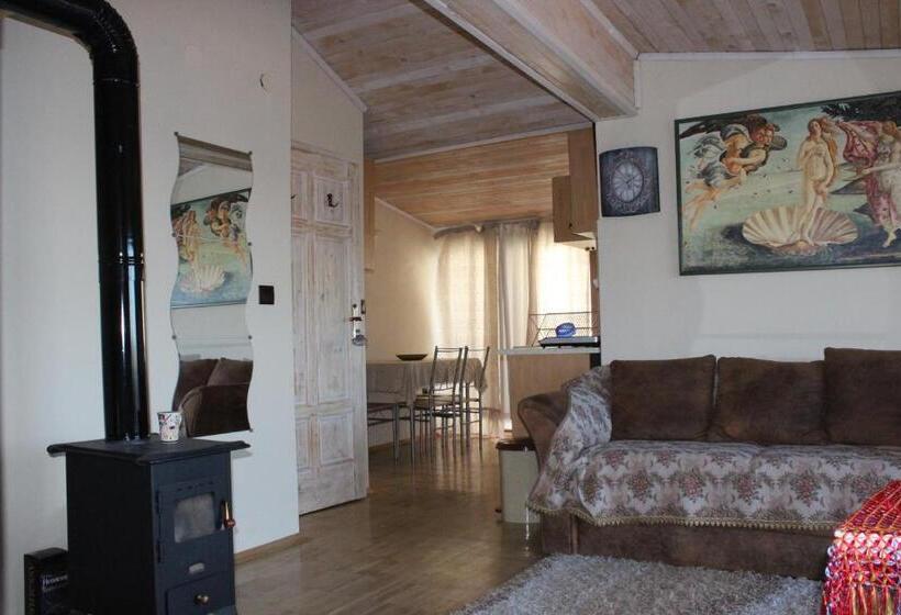 Полулюкс с Балконом, Guest House Dara