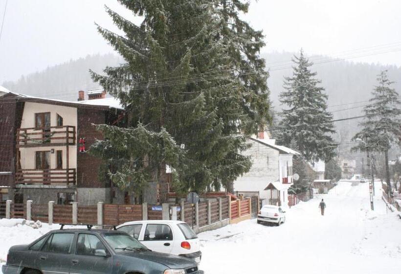 标准工作室带阳台, La Buni Busteni