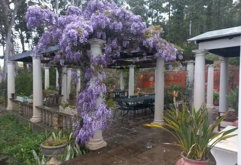 スタンダードルーム, Morton Manor