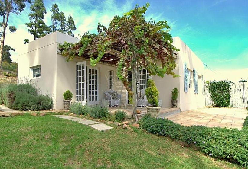 小室, Morton Manor