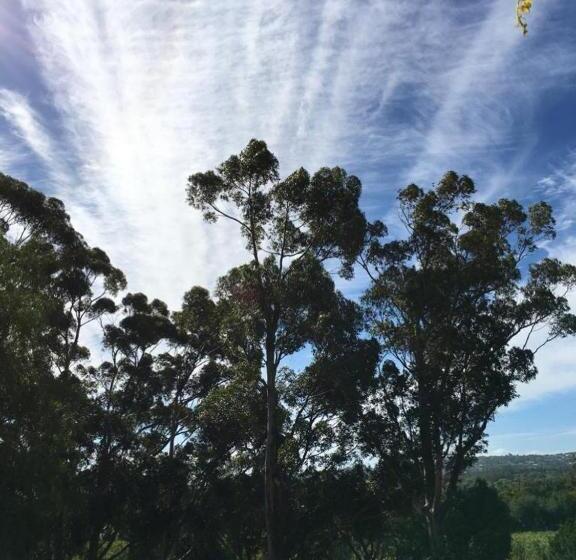 标准间, Morton Manor