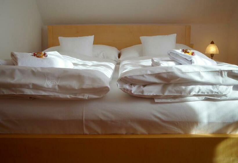 اتاق استاندارد, Penzion Na Ostrově