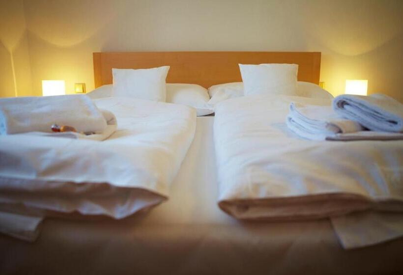 اتاق استاندارد, Penzion Na Ostrově