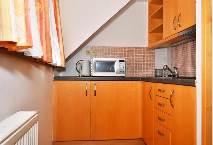 استودیوی استاندارد, Penzion Na Ostrově