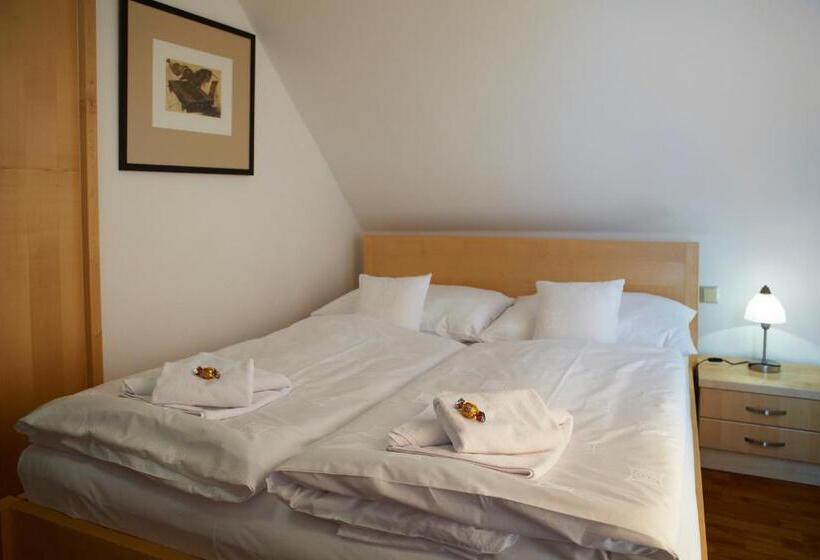 اتاق استاندارد, Penzion Na Ostrově