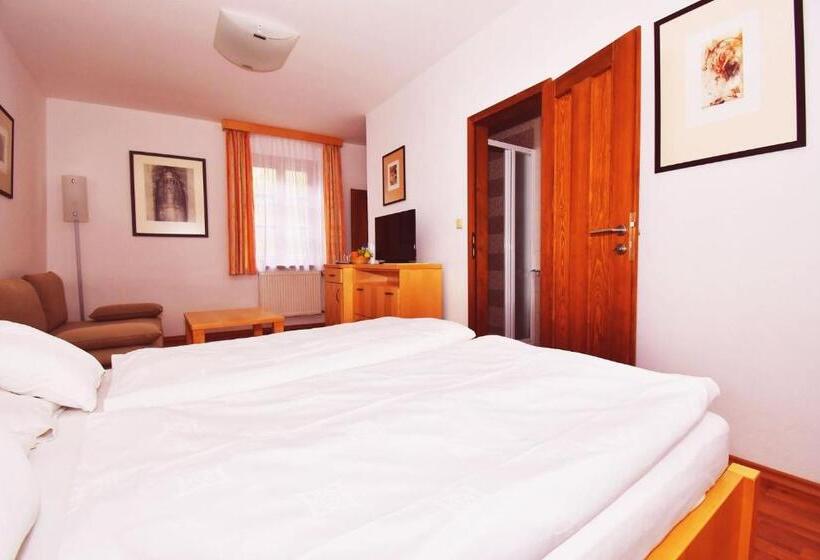 اتاق استاندارد, Penzion Na Ostrově