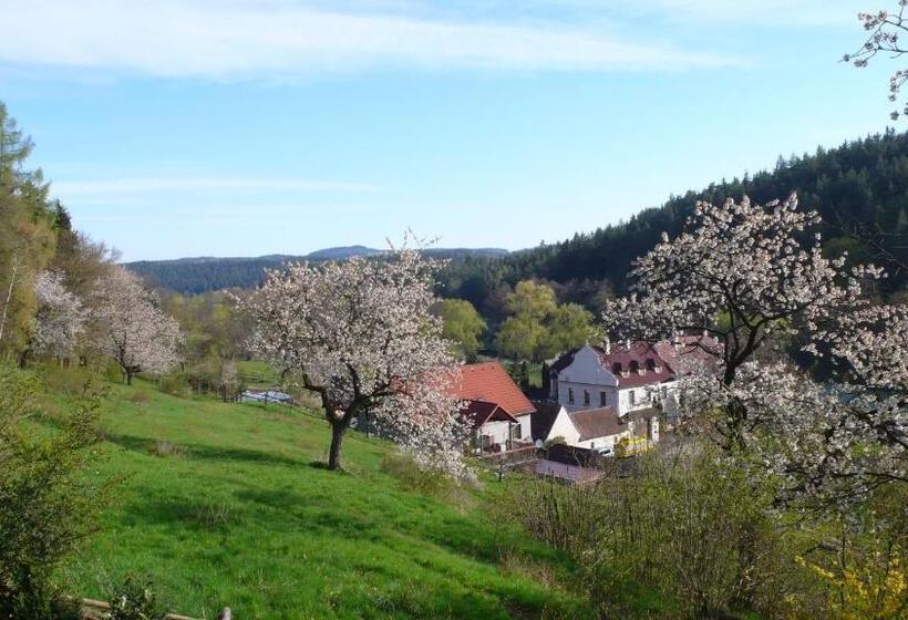 带1个卧室的豪华公寓, Penzion Padrtův Mlýn