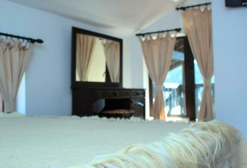 غرفة قياسية مزوَّدة بشُرفة, Topalovi Guest House