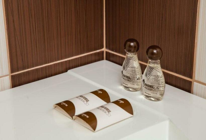 غرفة قياسية مزوَّدة بشُرفة, Topalovi Guest House