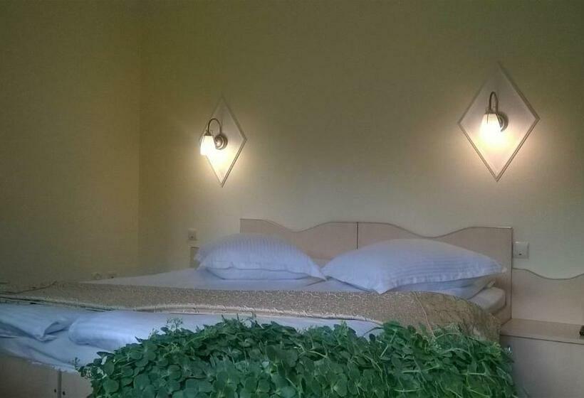 חדר סטנדרט עם מרפסת, Vila Alunis