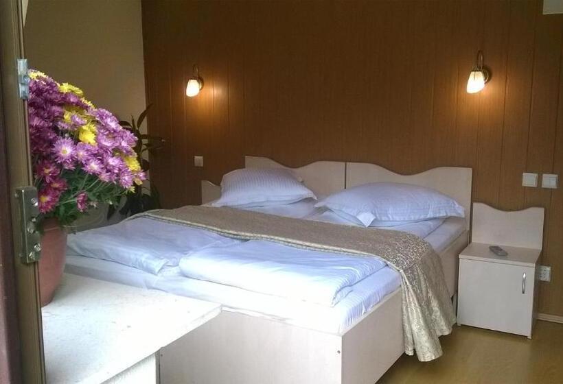 חדר סטנדרט עם מרפסת, Vila Alunis