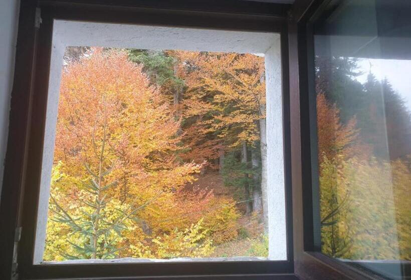 דירה בת חדר שינה 1 עם מרפסת, Vila Alunis