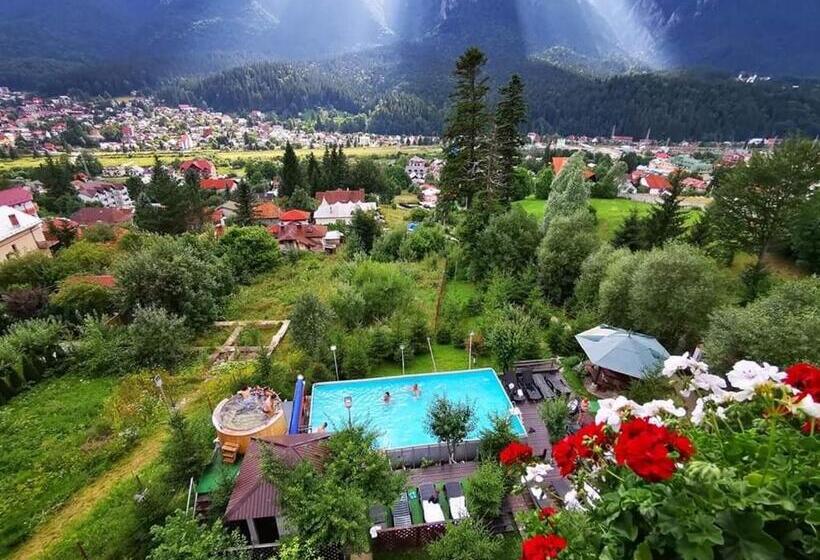 וילה בת חדר שינה 1, Vila Alunis