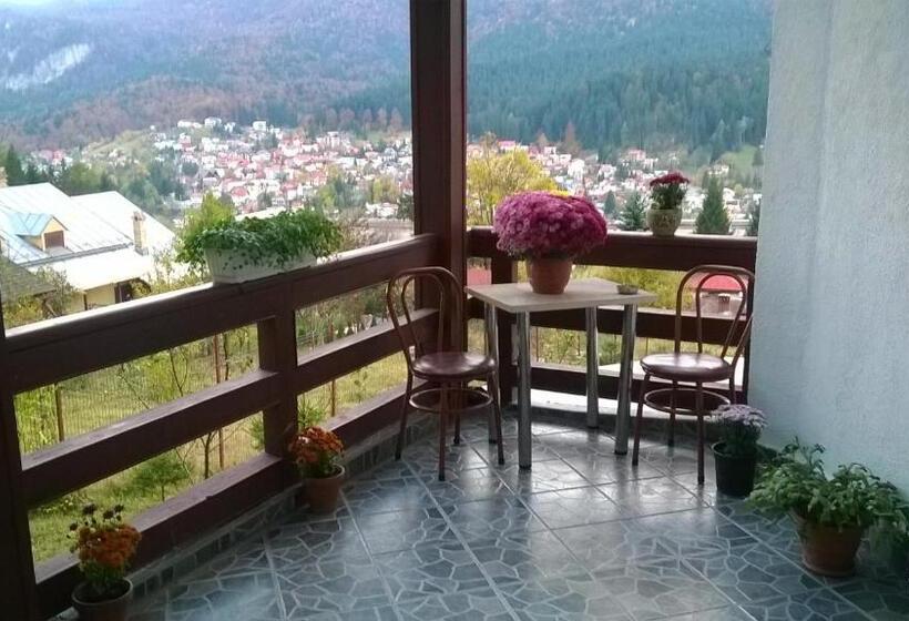 וילה בת חדר שינה 1, Vila Alunis