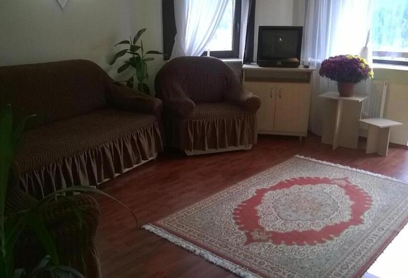 דירה בת חדר שינה 1 עם מרפסת, Vila Alunis